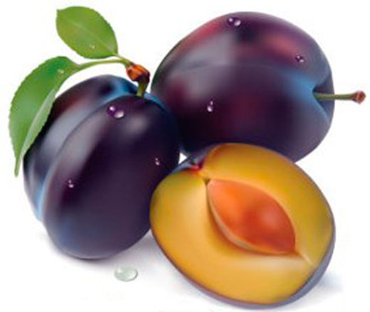 Fruit of the plum